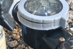 Pederson-Check-Valve
